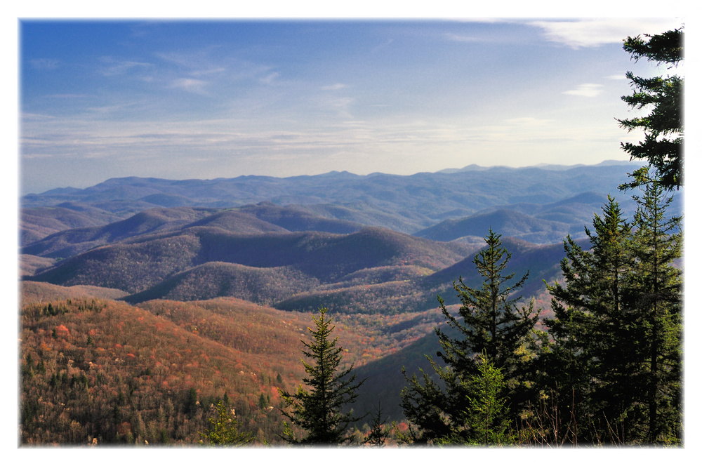 Great Smoky Mountains (4)