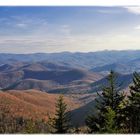 Great Smoky Mountains (4)