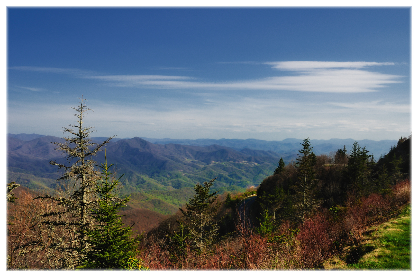 Great Smoky Mountains (5)