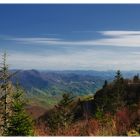 Great Smoky Mountains (5)