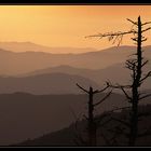 Great Smoky Mountains