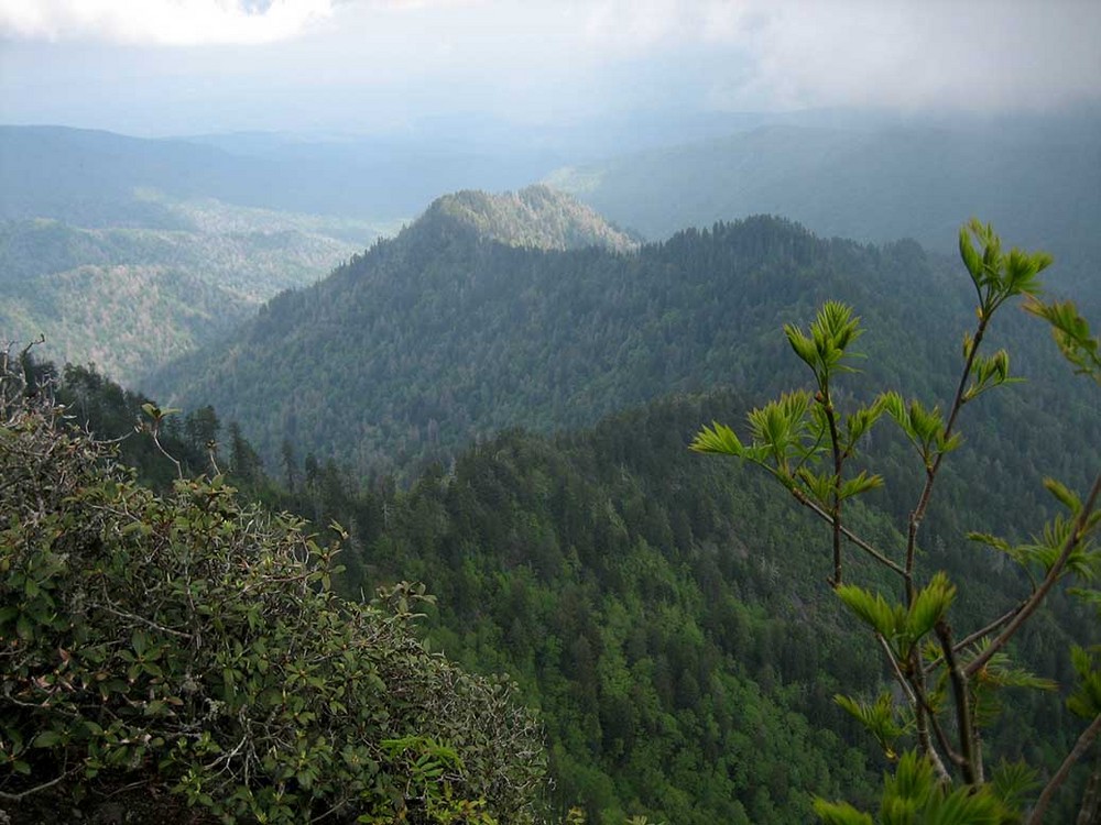 Great Smoky Mountains National Park