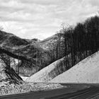 Great Smoky Mountains / NC