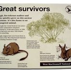 Great survivors