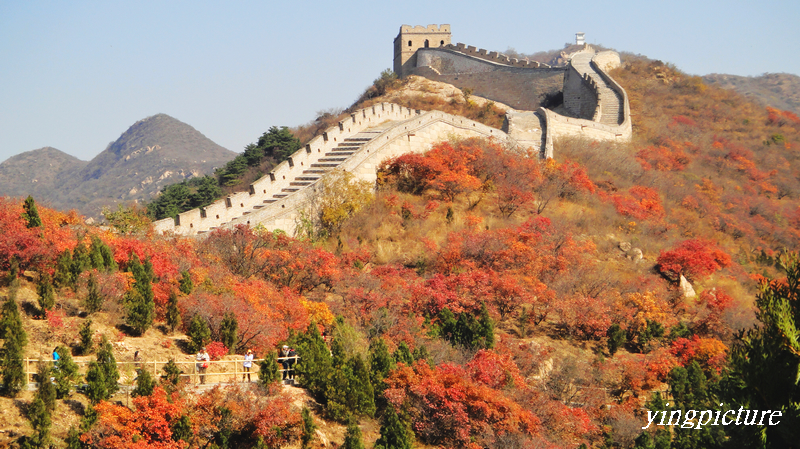 great wall(2)
