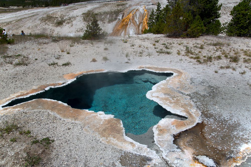 Great Yellowstone walk