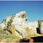 Great Zimbabwe Ruins