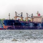 "Grebe Bulker"