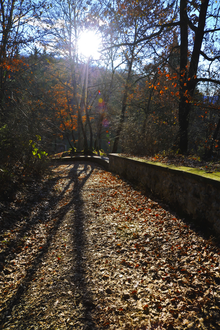 Greccio: il cammino di San Francesco