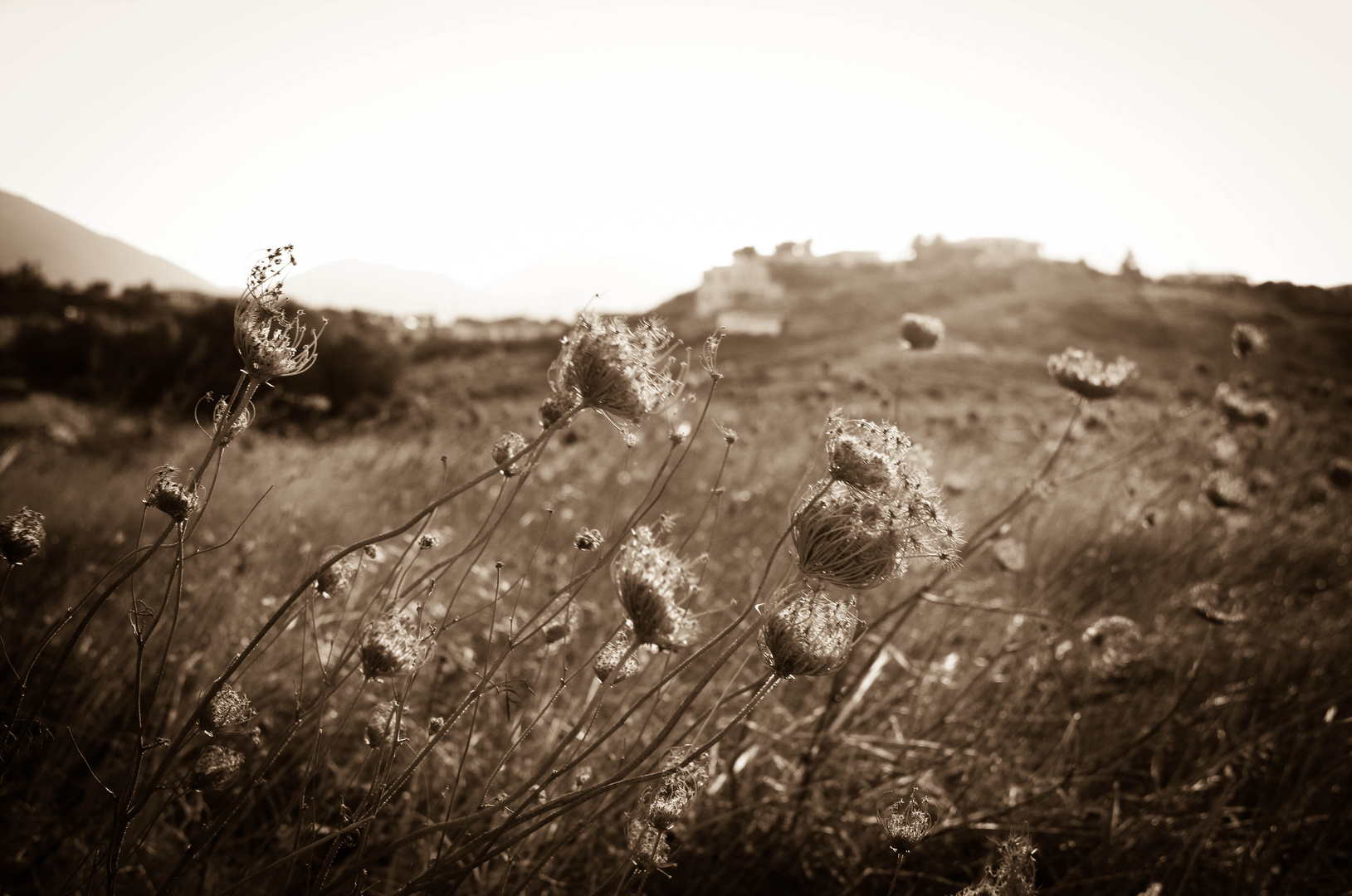 Greece in Autum