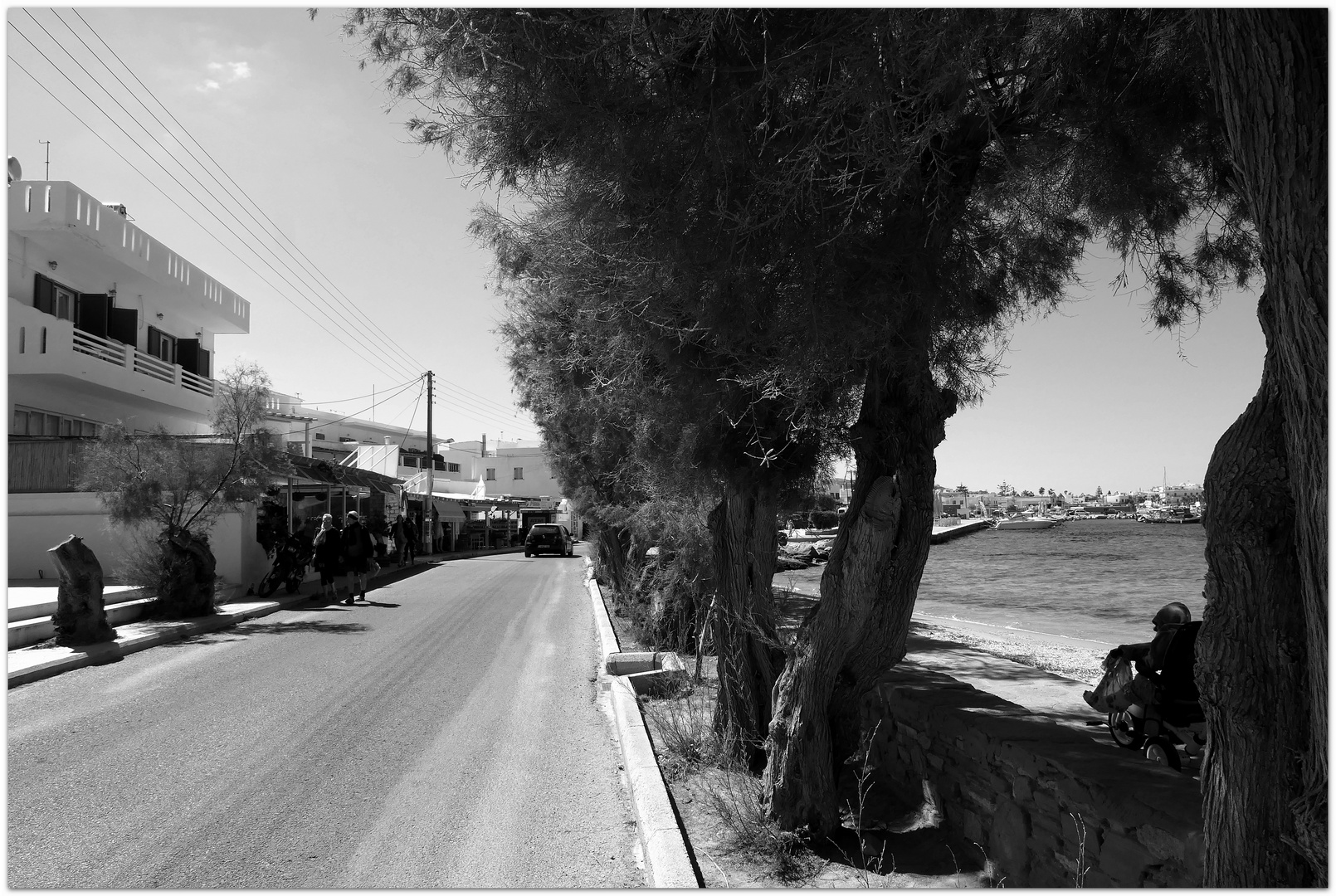Greek Street Foto Bild Art Spezial B ume Bilder Auf Fotocommunity greek-street-foto-bild-art-spezial-b-ume-bilder-auf-fotocommunity