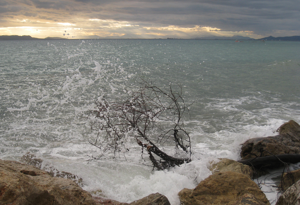 Greek Winter