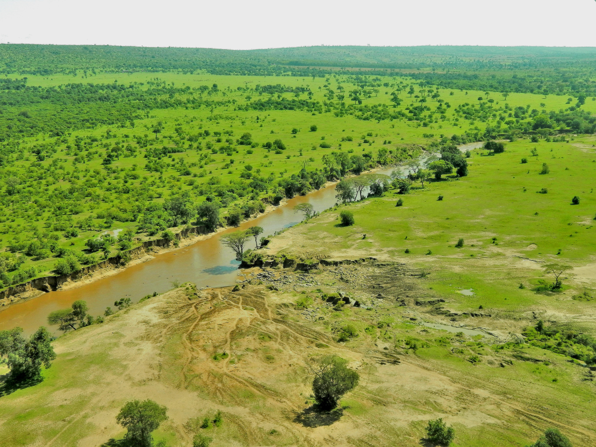 Green Africa ( Mara River )