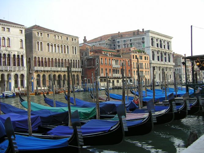 Green among the boats of Blue