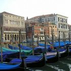 Green among the boats of Blue