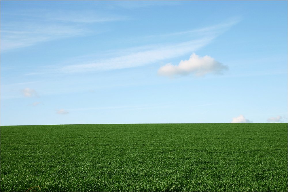 green and blue von Markus Zeller