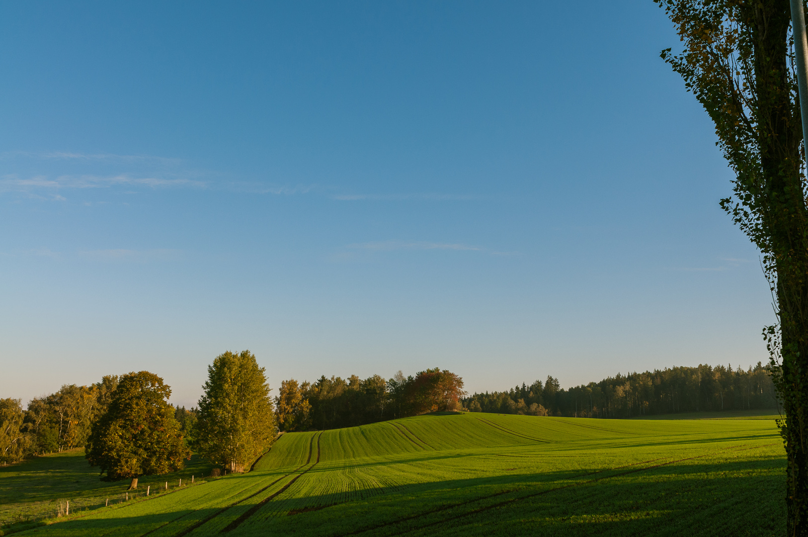 Green and Blue