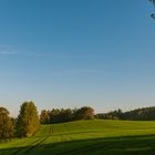 Green and Blue