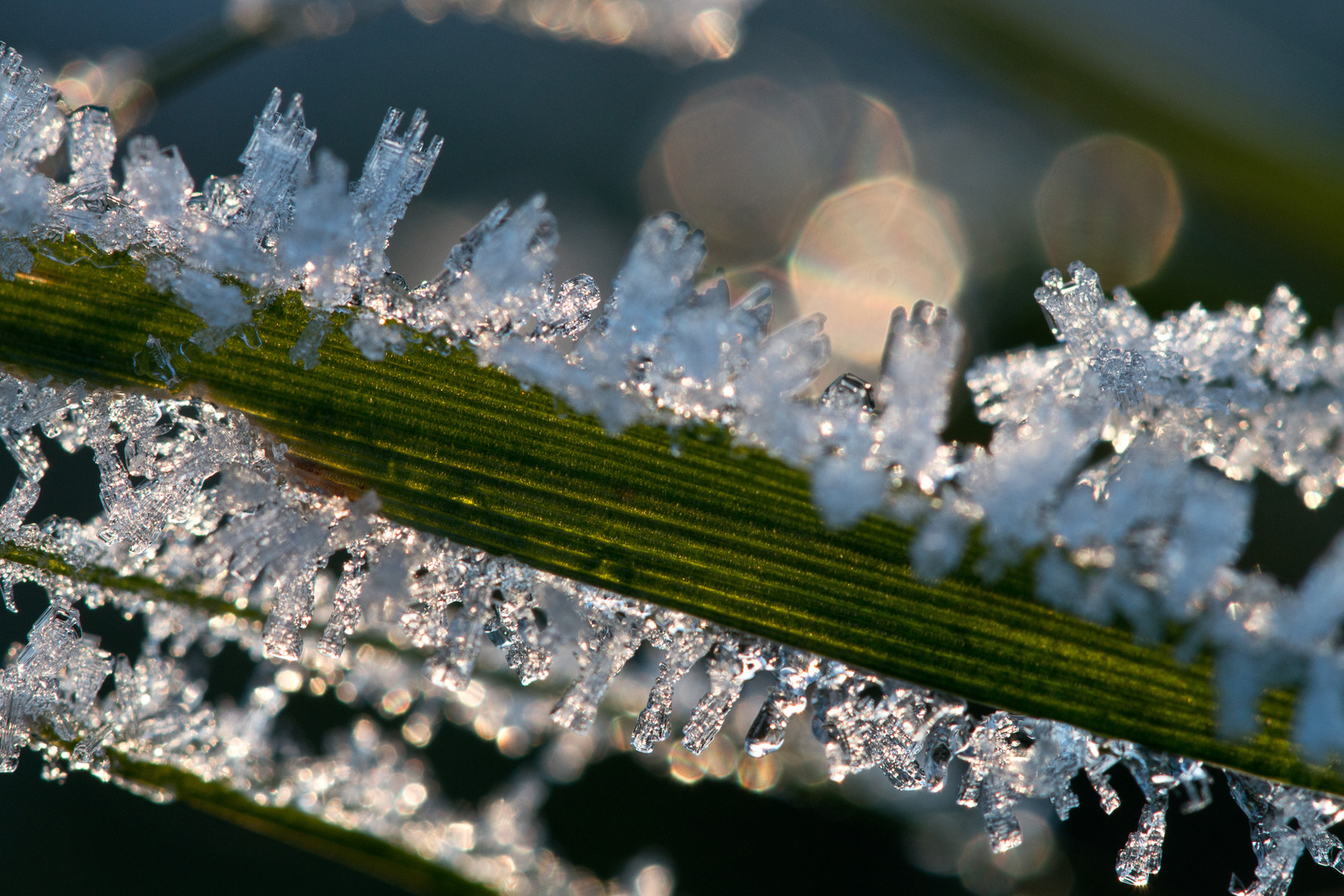 Green and ice