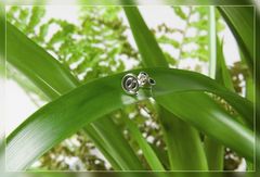 Green and Silver