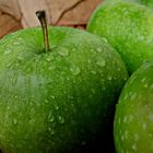 Green Apple