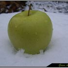 Green Apple