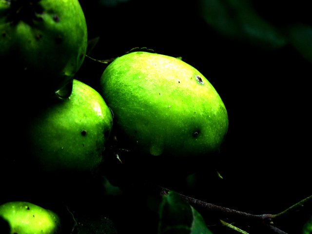 green apple