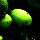 green apple