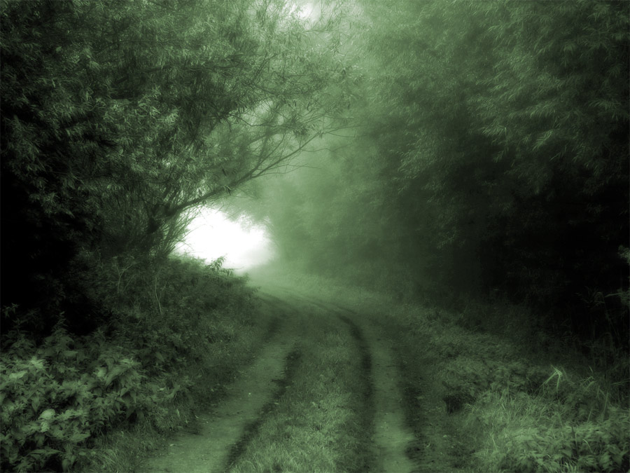 "Green" aus der Reihe "Hidden Highways"