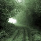 "Green" aus der Reihe "Hidden Highways"