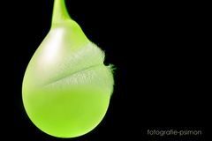 green balloon