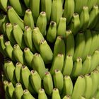 Green Bananas 1