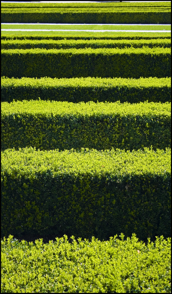 green barcode_muenchen