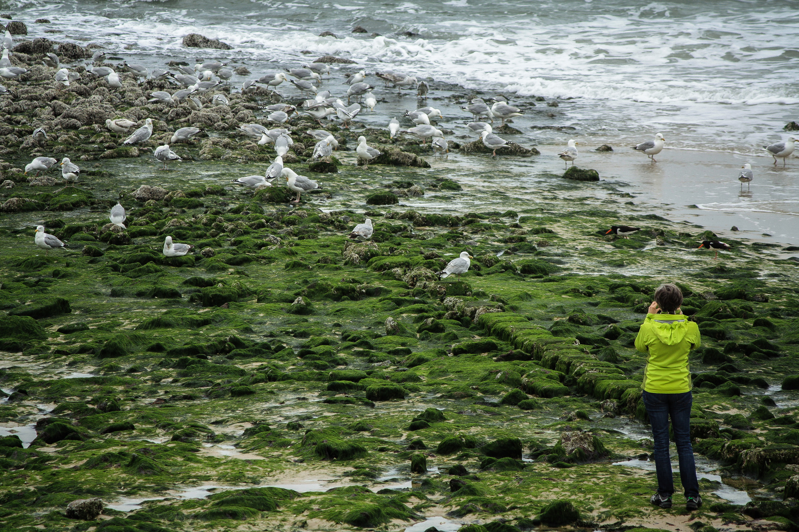 Green Beach