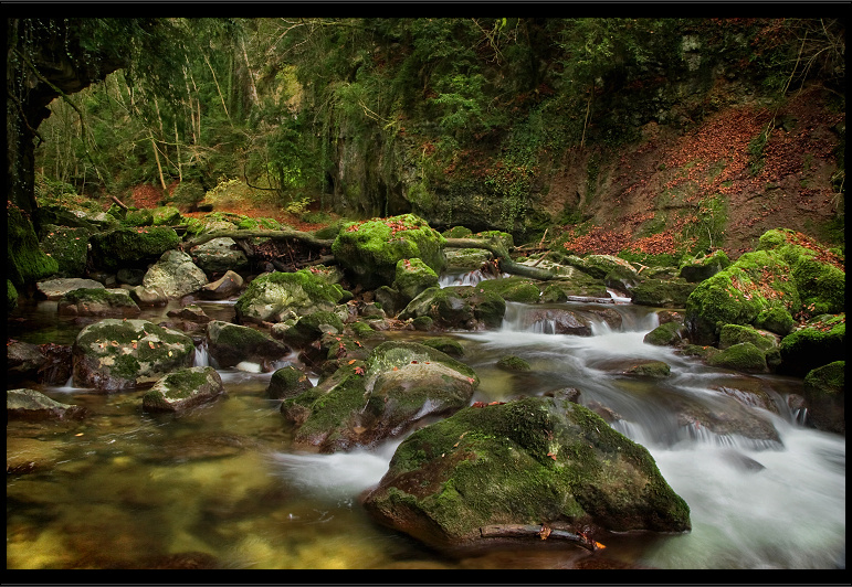 .. Green Beauty ..