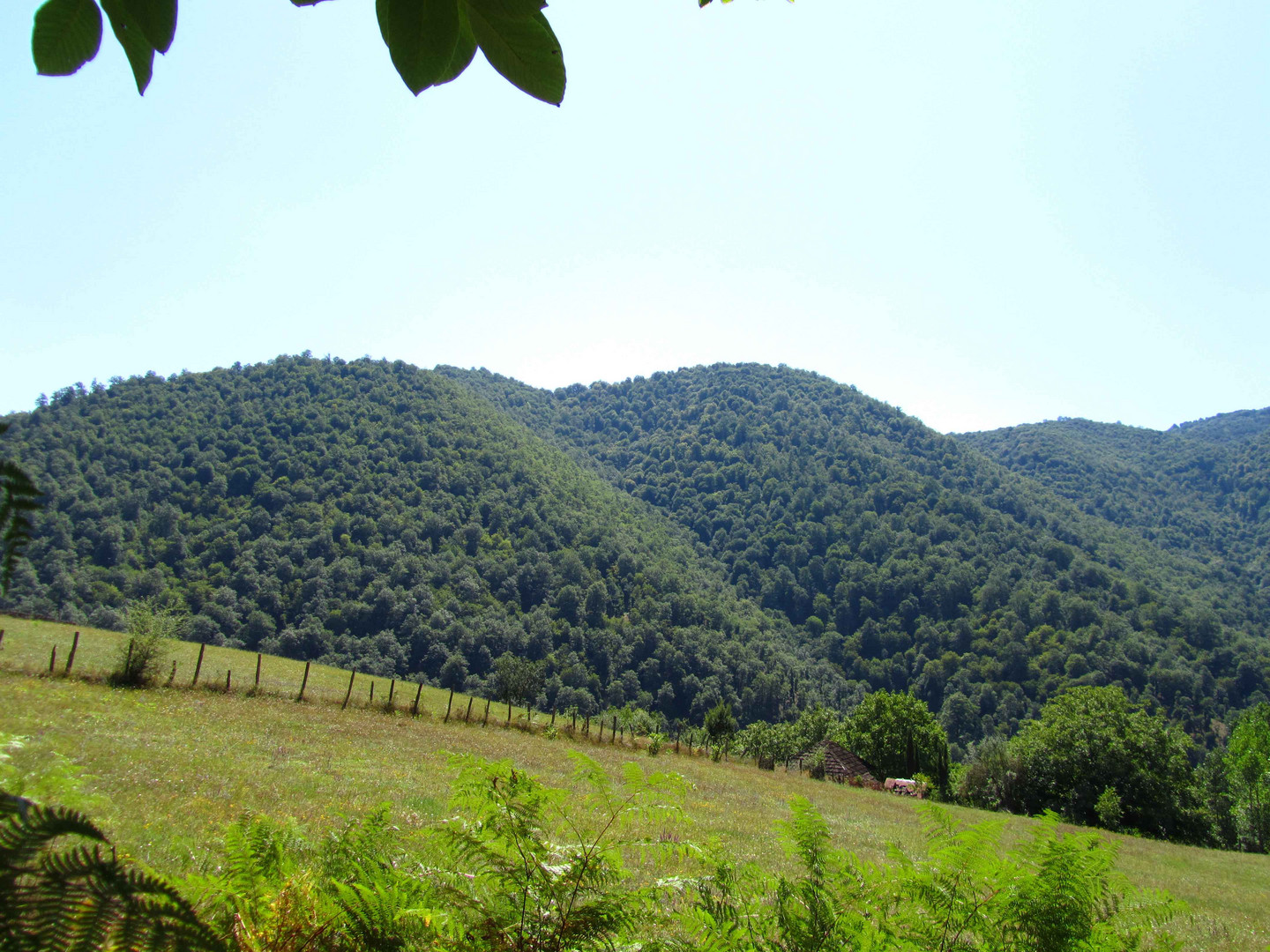 Green Beauty