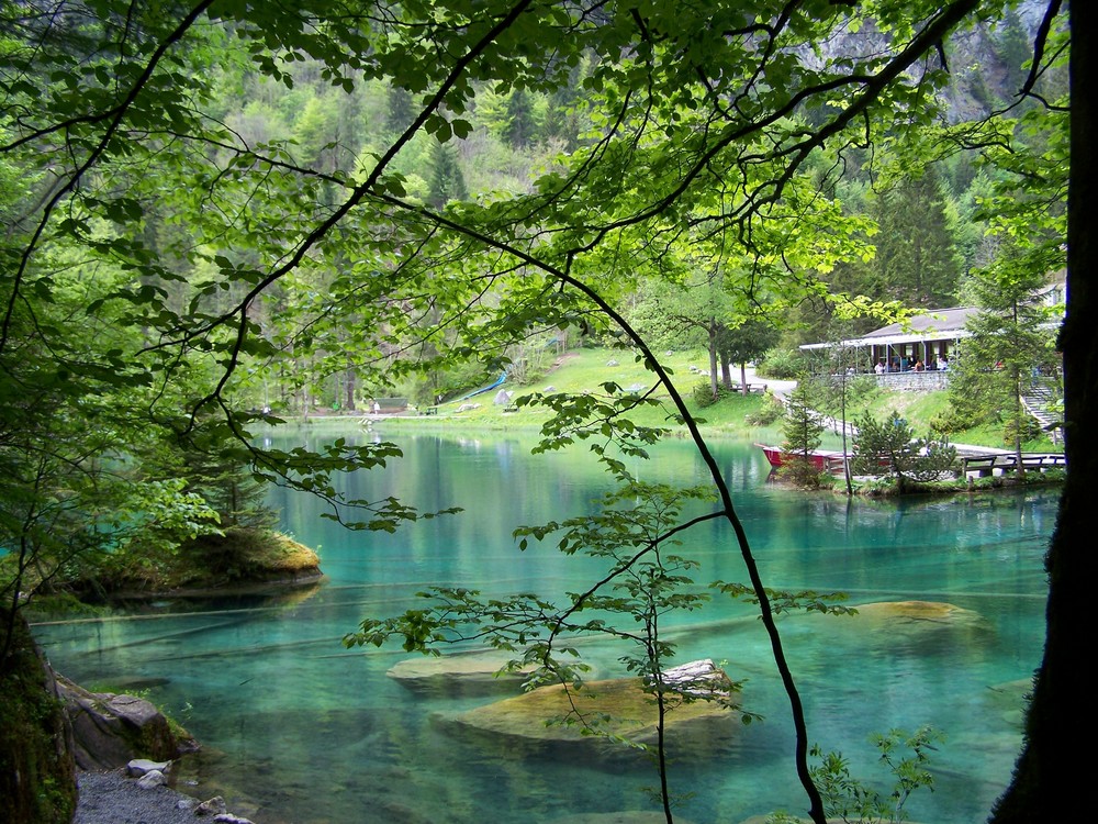 Green Blausee
