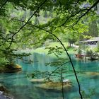 Green Blausee