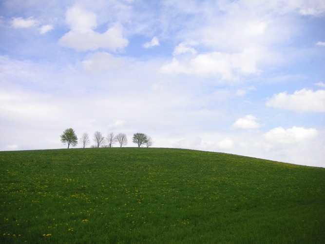 ~+~ green & blue ~+~