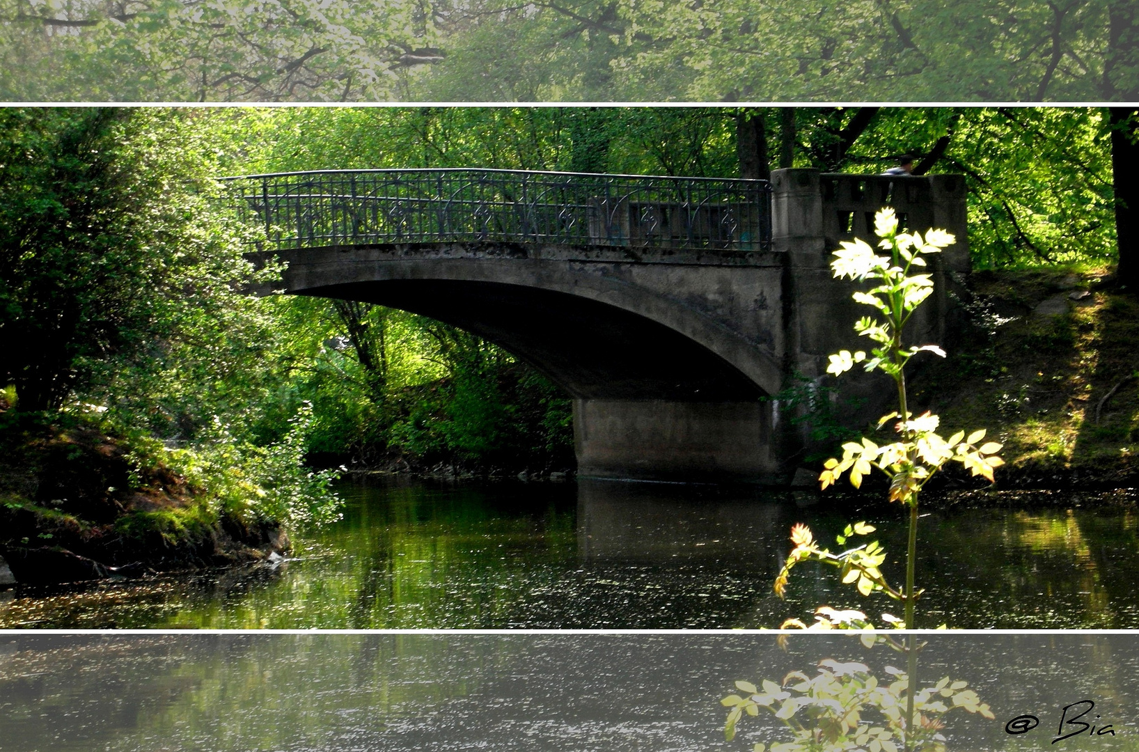 Green Bridge