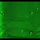 green bubbles