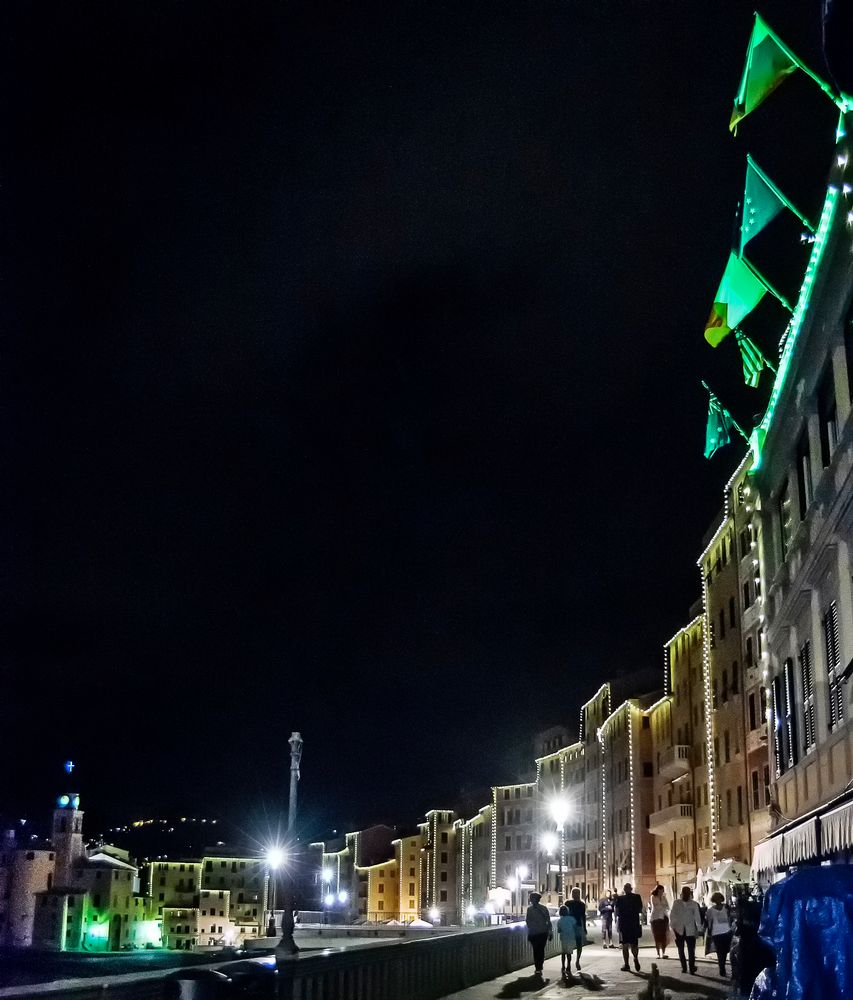 Green Camogli