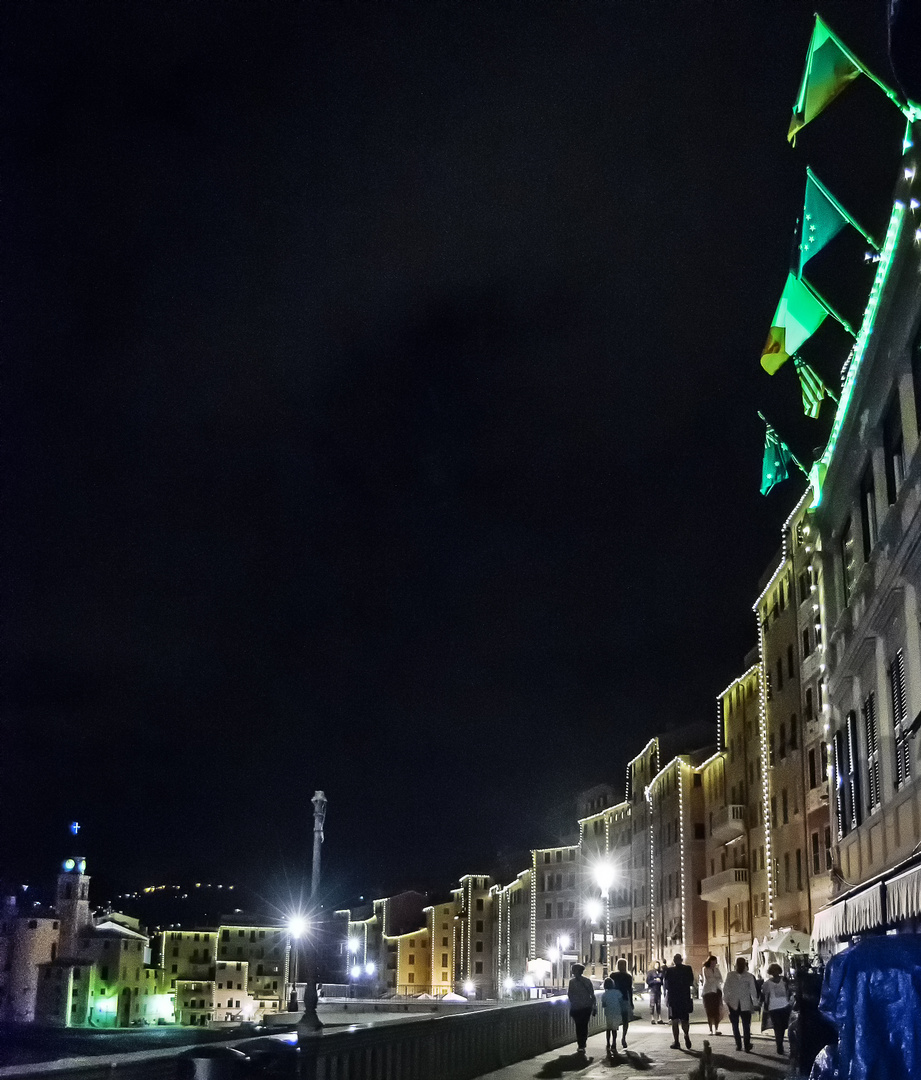 Green Camogli