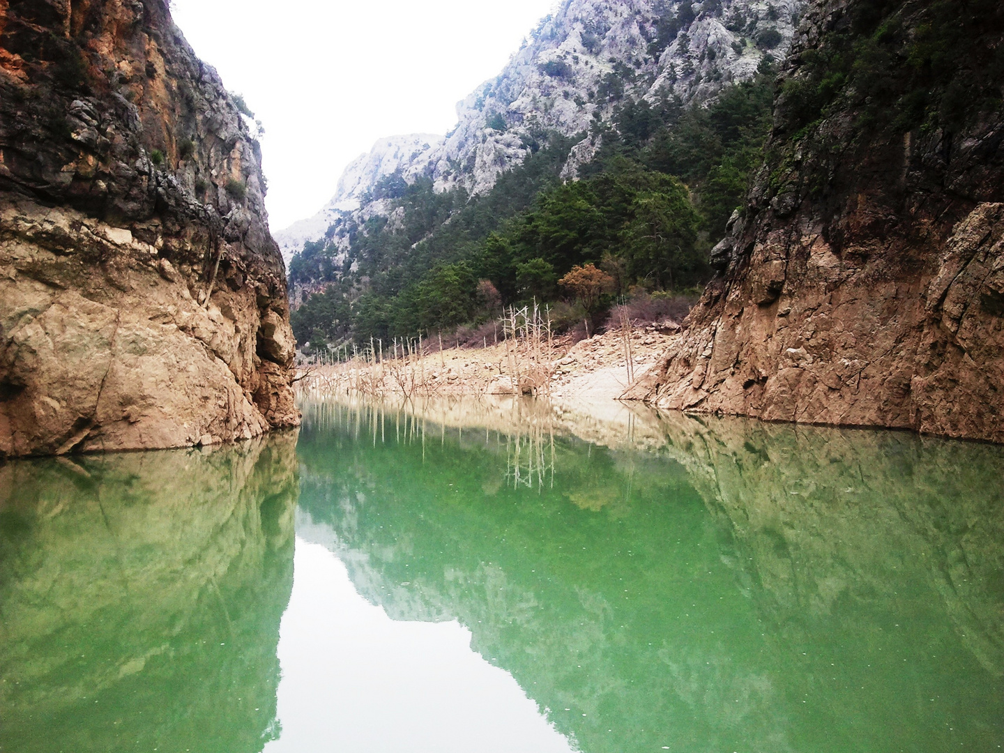 GREEN CANYON