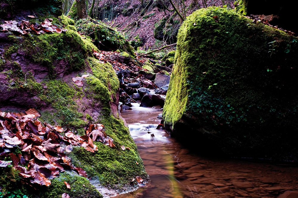 Green Canyon im Butzerbachtal