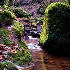 Green Canyon im Butzerbachtal