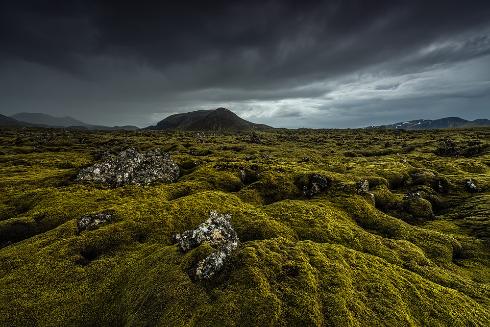 [ … green carpet ]