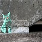 Green Cat