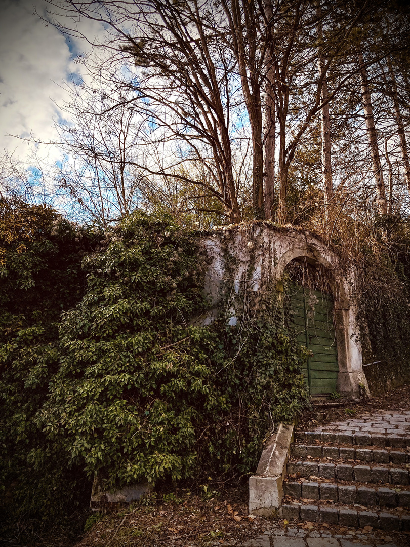 Green corner in Linz, Austria 