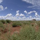 green desert